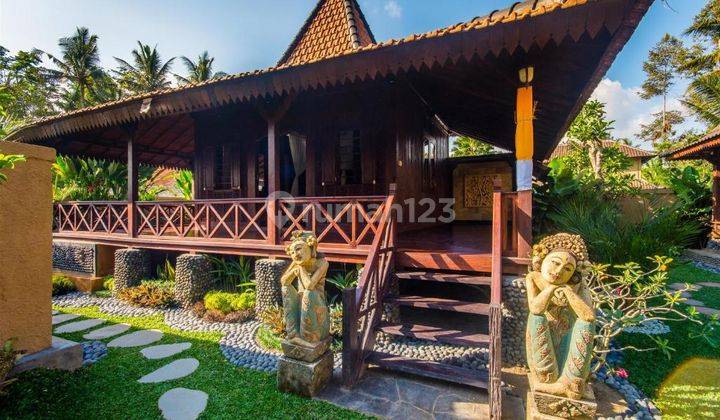 Cheap Shm Nice Villa in Ubud for Quick Sale Under Market 2