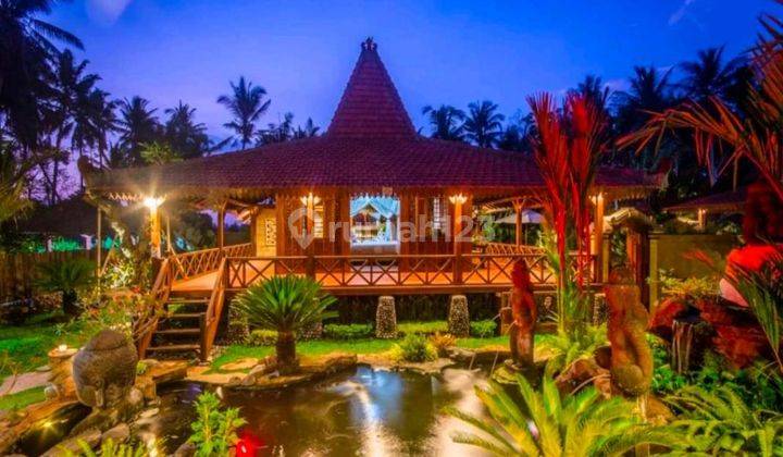 Cheap Shm Nice Villa in Ubud for Quick Sale Under Market 1