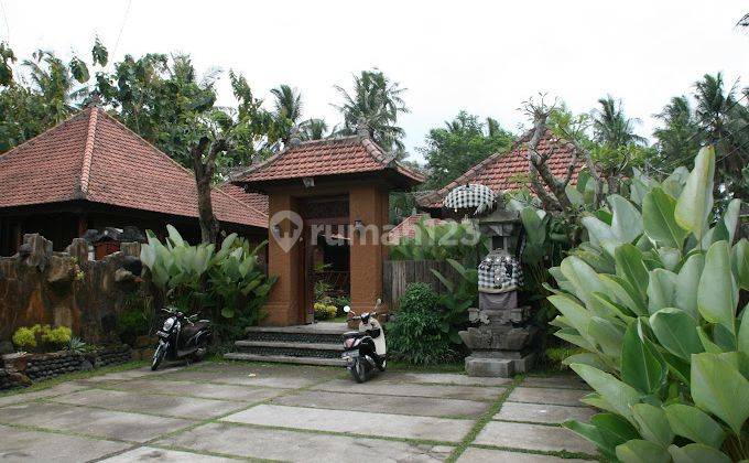 Villa Bagus Shm Murah di Ubud Dijual Cepat Bawah Pasar 2