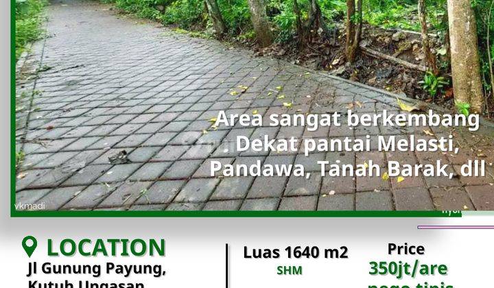 Shm Cheap Land for Sale Under Market in Ungasan Bali 2