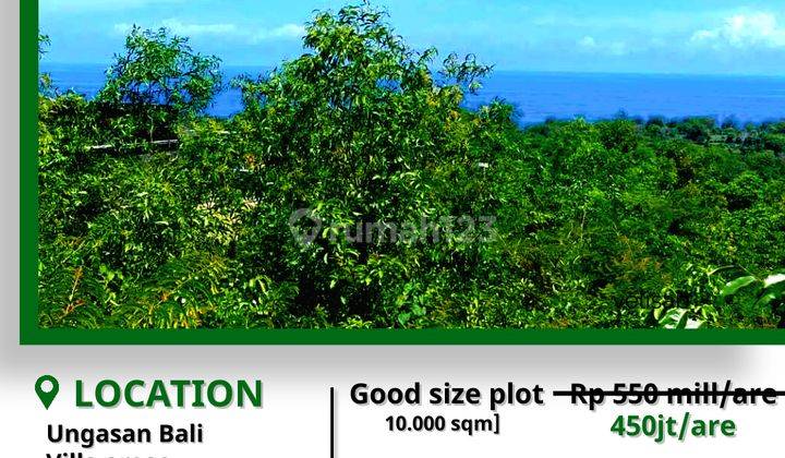 Land 10,000m2 Shm for sale under market in Ungasan Bali 1