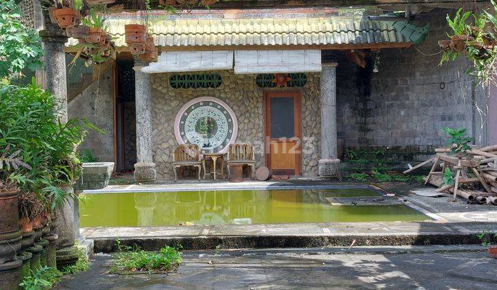 Rumah Villa Murah di Dalung Dekat Canggu 2