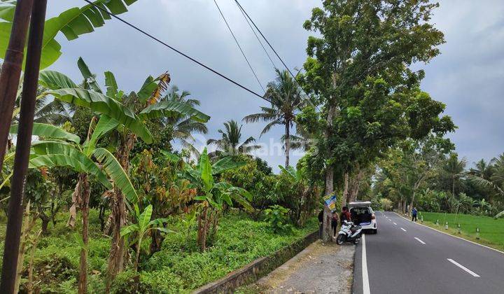 Tanah Murah Dijual Cepat di Pupuan Tabanan Bali 2