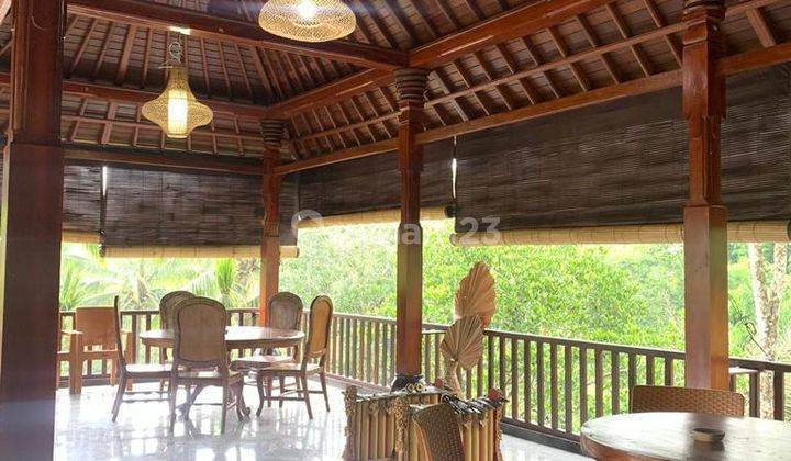 Cheap Down Market Villa for Quick Sale Near Jatiluwih and Bedugul 2