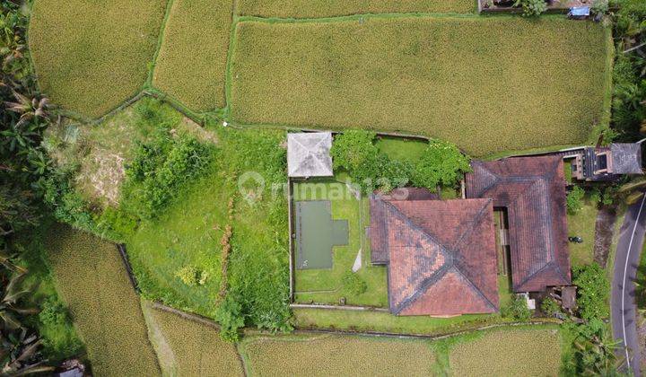 Villa SHM Dijual Bawah Pasar di Ubud 2