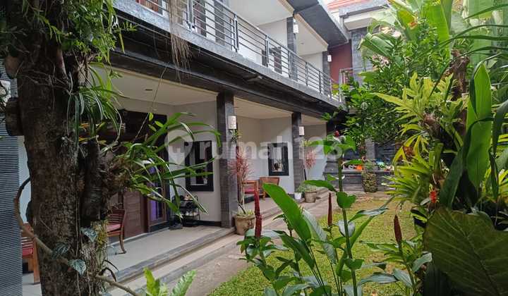 Guest house murah dijual BU di seminyak bali Guest house murah dijual BU di seminyak bali