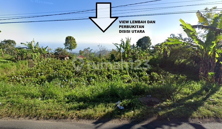 Tanah murah di Munduk bali view danau