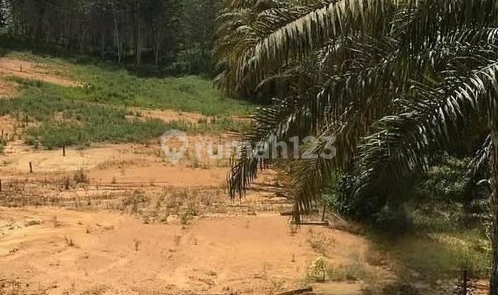 Tanah Strategis Dekat Ikn Free Pajak dan Biaya Balik Nama