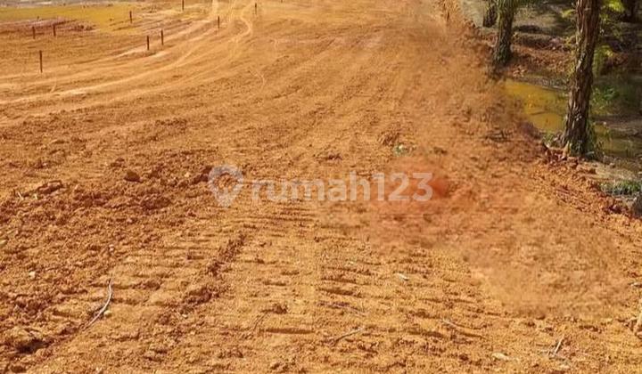 Tanah Strategis Dekat Ikn Free Pajak dan Biaya Balik Nama