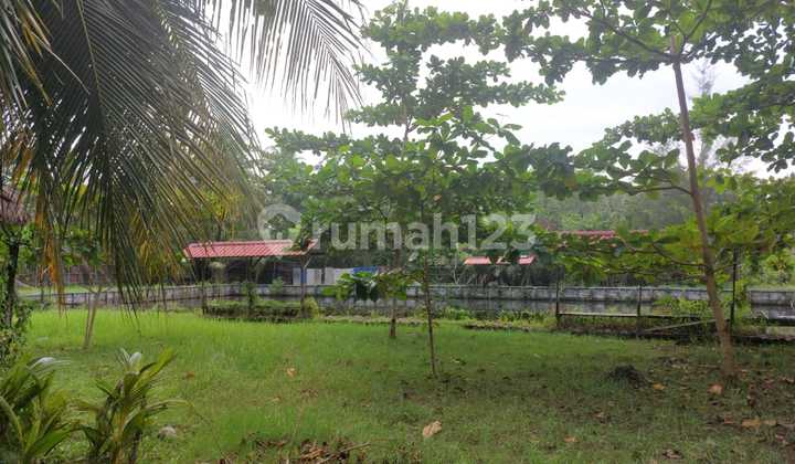 Super Strategic Beachside Land with Freehold (SHM) and Use Rights (SHGB) Titles Super Strategic Beachside Land with Freehold (SHM) and Use Rights (SHGB) Titles