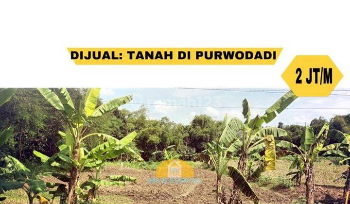 Tanah di Jl. Raya Purwodadi-Wirosari 1