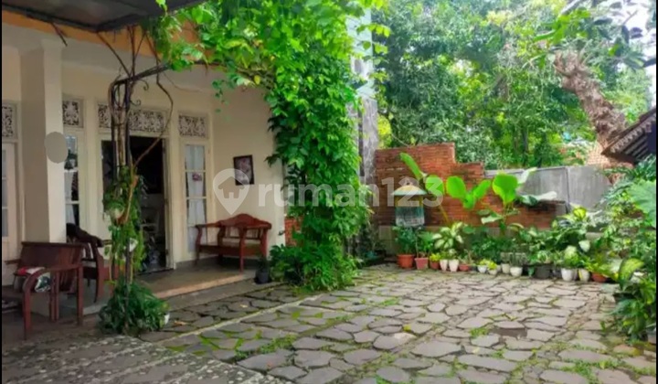 Rumah Asri Tengah Kota di Jl Mugas Barat Mugassari Semarang Selatan 1