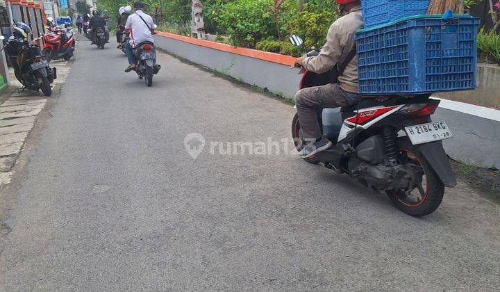 ( Cocok Untuk Kantor) Rumah Di Jl Lamper Tengah Semarang Selatan 2