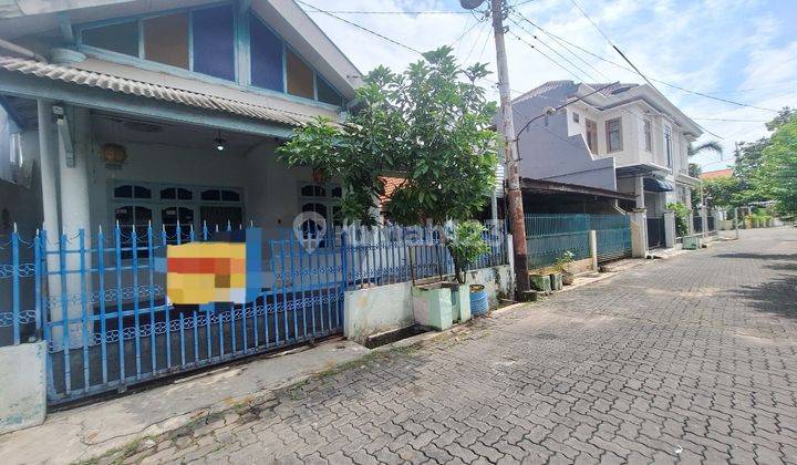 ( Cocok Di Bangun Kos ) Rumah Lama Di Jl Tirtoyoso Rejosari Semarang Timur  1