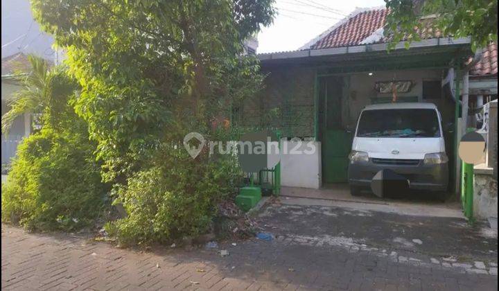 Rumah / Kantor / Gudang Di Jl Mlaten Trenggulun Mlatibaru Semarang Timur 1