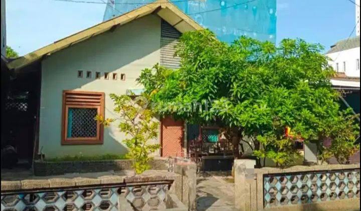 ( Jual Cepat ) Rumah Strategis Di Jl Blimbing Peterongan Semarang  1