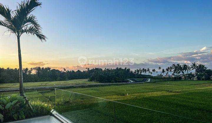Leasehold Brand New Villa With Stunning Rice Fields View  8