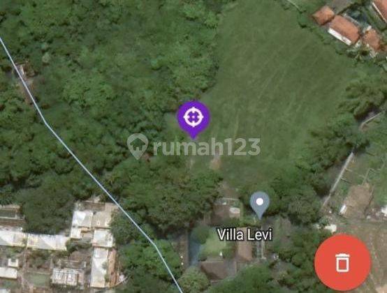 Land Cavling In Batu Bolong Canggu Badung Bali 16