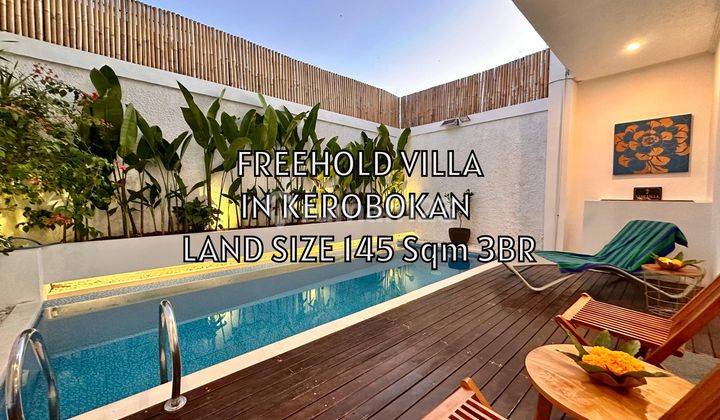 Newly Renovated Villa for Sale in Taman Sari Kerobokan Badung Bali 1