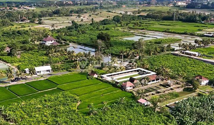 Tanah Kavling Area Wisata Kemenuh Sukawati Dekat Tegenungan Water Fall 2