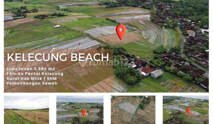 Tanah Pantai Kelacung Di Tabanan Dengan Pemandangan Laut 1