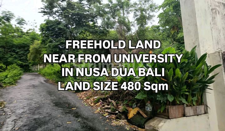 Tanah Dekat Kampus di Nusa Dua Kuta Selatan Badung Bali Tanah Dekat Kampus di Nusa Dua Kuta Selatan Badung Bali