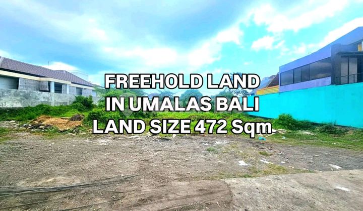 Villa Compound Land in Umalas Kerobokan Badung Bali
