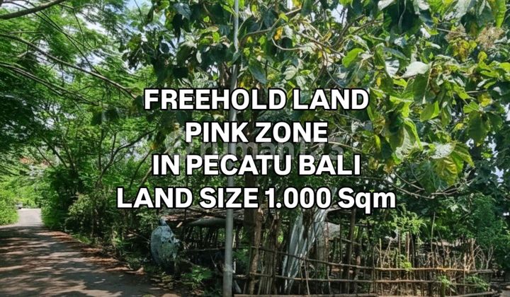 Tanah Murah Zona Pink di Pecatu Kuta Selatan Badung Bali Tanah Murah Zona Pink di Pecatu Kuta Selatan Badung Bali