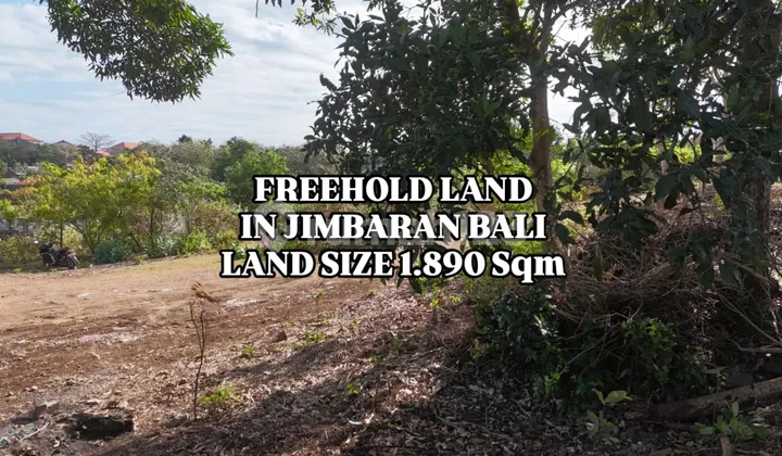 Tanah lingkungan kampus udayana di Jimbaran Kuta Selatan Bali