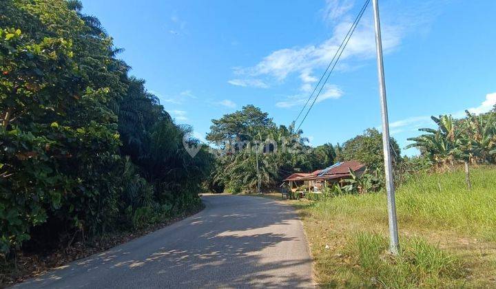 Dijual Murah Tanah Tiban Patam Lestari batam  1