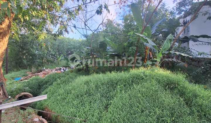 Affordable Land Plots Palm Spring Batam City Near Djuwita,Maytreya Batam