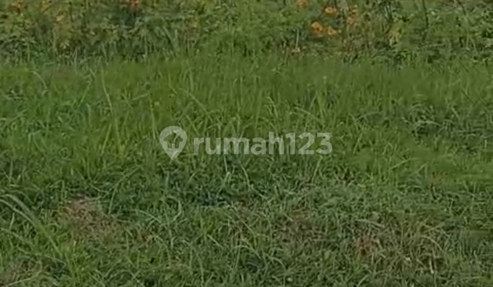 Dijual Kavling 800meter Dago Reaort Downslope Dapet View Dijual Kavling 800meter Dago Reaort Downslope Dapet View