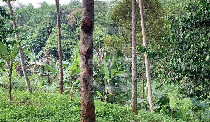 Dijual bu Tanah Daerah Anyer Dekat Pantai Batu Saung 4