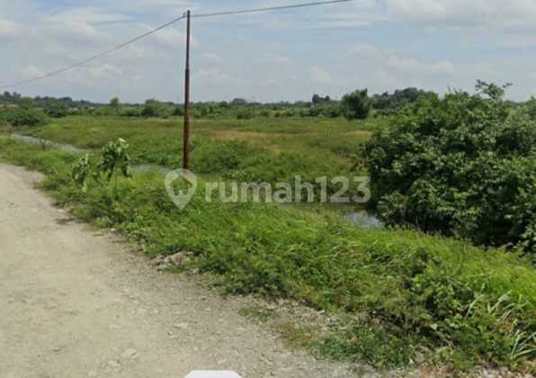 Quick Sale Land on Serang Main Road, East Balaraja, Cikupa, Tangerang, Banten Quick Sale Land on Serang Main Road, East Balaraja, Cikupa, Tangerang, Banten