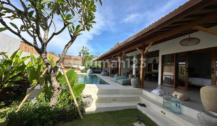 Padang Padang - Best Deal 2 Tropical Villas