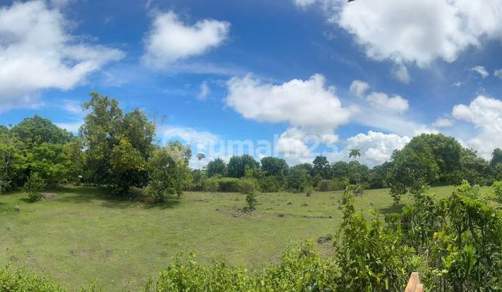 Padang Padang / Uluwatu - Tanah Sewa Utama Dekat Pantai