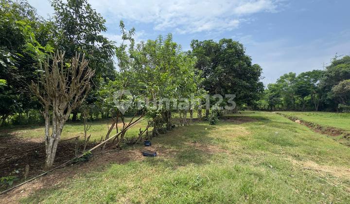 Land For Sale In Nunggalan (Bvlgari Area) - Freehold