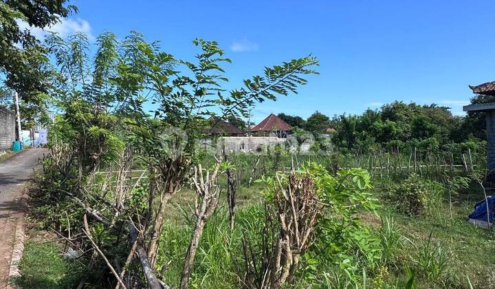 Balangan – Land For Lease With Existing