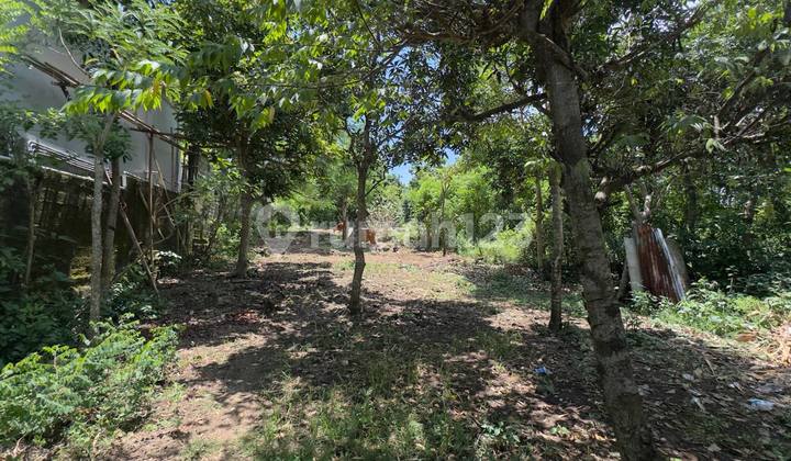 Ungasan – Ocean View Land For Sale 1000 m² Ungasan – Ocean View Land For Sale 1000 m²