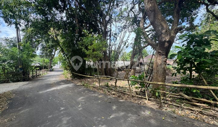 Beautiful Land In Pecatu Yellow Zone 5-20 Are