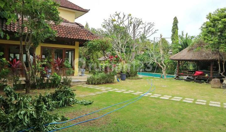 Canggu - Land For Sale + Bonus Villa (10 Min To Atlas)