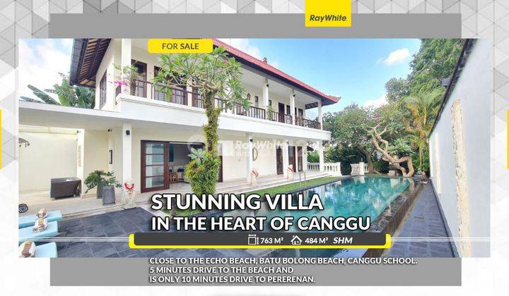 Stunning Freehold Villa in The Heart Of Canggu 1