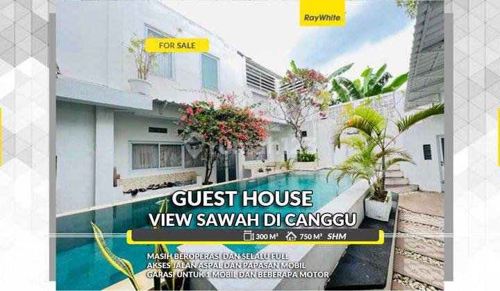 Dijual Quest House Dengan View Sawah di Canggu 1