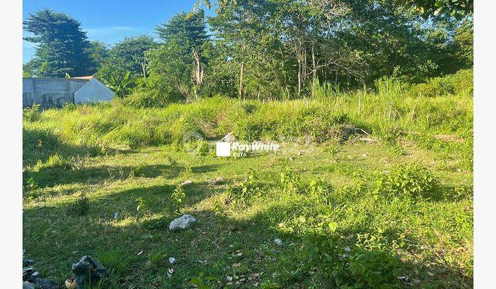 Land For Sale In Kedonganan, Near The Beach 2