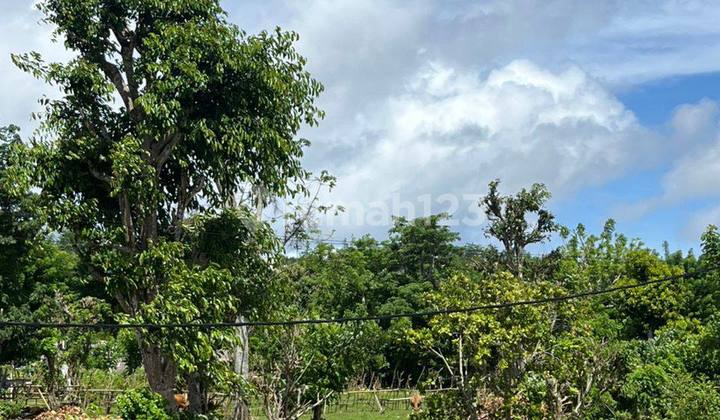 Melasti - Leasehold Land in Pink Zone 5.8 Are