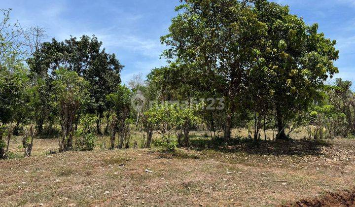 Land For Sale Near Bvlgari 1