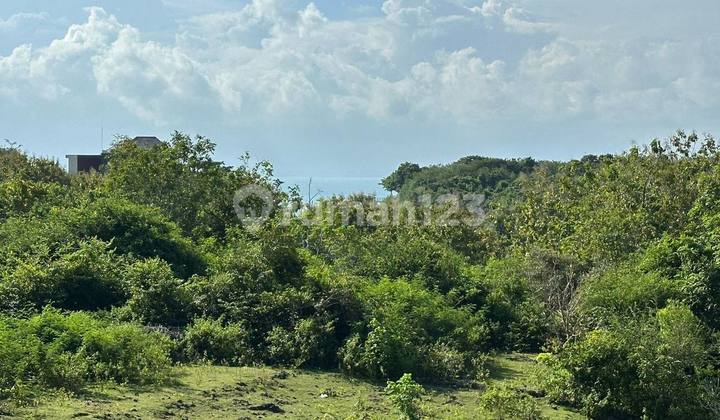 Tanah Hak Pakai dengan Pemandangan Laut di Balangan Hanya 2 Menit dari Pantai. Tanah Hak Pakai dengan Pemandangan Laut di Balangan Hanya 2 Menit dari Pantai.