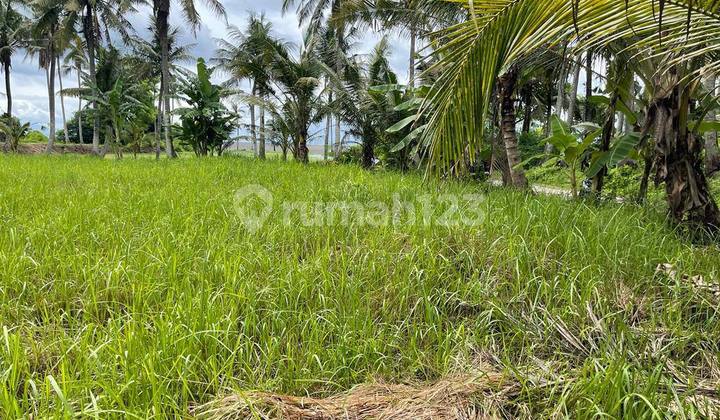 Prime Land Near Saba Beach. SHM 1730.0 m²