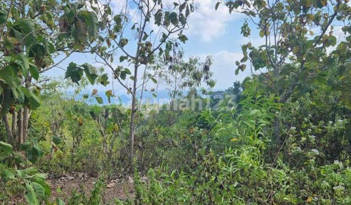 Labuan Sait – Ocean View Land For Lease Near Bingin