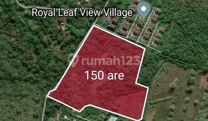 Amazing Ocean View Land In Pecatu